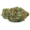 chem 4 strain, chemdawg 4, chem 4, star dawg strain, chemdawg #4, green chem strain, star dog weed, chemdawg seeds, chem 4 og, chem dog seeds, chemdawg seed, chemdawg 4 strain, pt stardawg, og 4 strain, chemdog 4, white chem strain, 4dd strain, chem #4, star dog strain, white chem 4 strain, stardog strain, stardawg strain indica or sativa, chemdog seed, chem 4 og strain, chemdawg allbud, chem dog leafly, stardawg sativa or indica, chem #4 og, stardawg corey strain, leafly stardawg, chem dog 4, stardawg strain review, chem4 strain, chem dawg seeds, dawg strain, stardawg corey, chem4, chemdawg wax, chocolate stardawg, chemdog seeds, stardawg ix, chem strains, chemdog seeds for sale, stardawg strains, chem 4 strain allbud, chemdawg near me, stardawg hybrid, chemdawg 4 yield, chemdog #4, chemdawg 4 seeds, chem #4 strain, chemdawg #4 strain, chem dawg #4, star dawg strain review, 413 chem strain, chemdawg flower time, 4 chem, chemdog greenhouse seeds, chem 4 weed, stardawg review, chemdawg 4 strain review, chemdawg 4 genetics, chem dawg 4, chem 4 seeds, star dawgnstrain