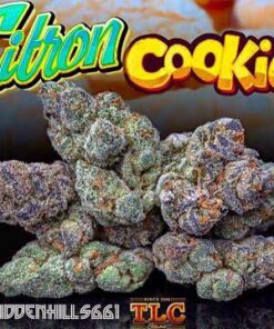 jungle cookies strain, citron cookies strain, citrus cookies strain, citron cookies