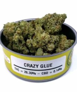 super glue strain, crazy glue strain, super glue weed, krazy glue strain, super glue leafly, leafly super glue, crazy glue weed strain, gangsta glue strain, super glue bud, crazy glue leafly, krazy glue carts, super glue thc, crazy glue strain allbud, krazy glue weed, weed super glue, super glue marijuana, super glue marijuana strain