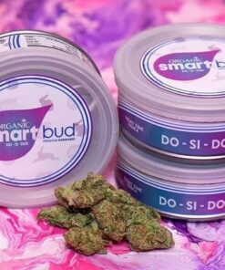 Smart Buds cans