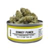 donkey punch strain, space donkey strain