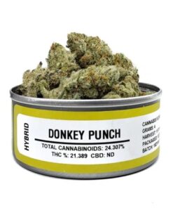 donkey punch strain, space donkey strain