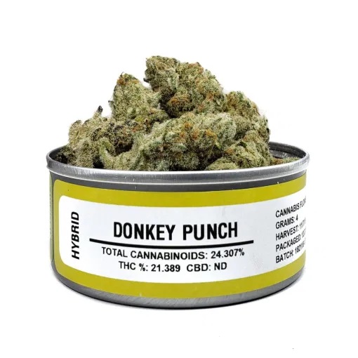 donkey punch strain, space donkey strain