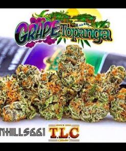 buy Jungle Boys Grape Topanga online, buy jungle boys online, buy weed packs online, jungle boys bags, jungle boys carts, jungle boys clothing, jungle boys dispensary, jungle boys grape topanga, Jungle Boys Grape Topanga for sale, Jungle Boys Grape Topanga online, jungle boys online, jungle boys packaging, jungle boys seeds, jungle boys seeds for sale, jungle boys strain, jungle boys strains, jungle boys weed, weed packs for sale, weed packs online, grape topanga strain, jungle grapes, jungle grape, grape topanga