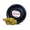 irene strain, irene og, russian assassin boyz, russian assassin strain, irene kush, irene og strain, irene apricot strain, irene kush strain, irene weed, irene og seeds, irene's alien orchard strain, russian assassin weed, irene weed strain