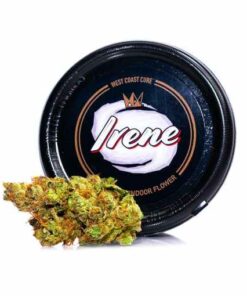 irene strain, irene og, russian assassin boyz, russian assassin strain, irene kush, irene og strain, irene apricot strain, irene kush strain, irene weed, irene og seeds, irene's alien orchard strain, russian assassin weed, irene weed strain