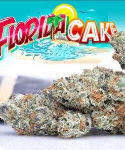 florida cake strain