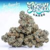 frosted cake strain, frosted cakes strain, frosty cake strain, cake frost strain, frosted fruit cake strain