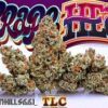 grapehead, grape head strain, grapehead strain, grape head, grapehead gelato strain, grape heads, jungle grapes, grapeheads candy, grape gelato weed, alexander the grape candy amazon