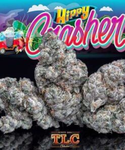 buy jungle boys hippy crasher, buy Jungle Boys Hippy Crasher online, buy jungle boys online, buy weed packs online, hippie crasher, hippie crasher strain, hippie crasher strain jungle boys, hippy crasher, hippy crasher #3, hippy crasher #6, hippy crasher 3 strain, hippy crasher mylar bags, hippy crasher review, hippy crasher strain, hippy crasher weed, hippy crashers 6, jungle boys, jungle boys bags, jungle boys carts, jungle boys clothing, jungle boys dispensary, jungle boys extracts, jungle boys for sale, jungle boys hippy crasher, Jungle Boys Hippy Crasher for sale, Jungle Boys Hippy Crasher online, jungle boys hippy crasher strain, jungle boys instagram, jungle boys jungle cake, jungle boys la, jungle boys packaging, jungle boys prices, jungle boys seeds, jungle boys seeds for sale, jungle boys strain, jungle boys strains, jungle boys training, jungle boys wedding cake, jungle boys weed, jungle boys weed strain, order Jungle Boys Hippy Crasher online, Order jungle boys online, order weed packs online, the jungle boys, weed packs for sale, where to buy jungle boys hippy crasher