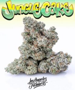 jungle cake strain, jungle cake, jungle cake weed, jungle cakes strain, jungle glue strain, jungle strain, jungle cake weed strain, jungle cake strain price, jungle cake leafly, jungle cake strain allbud, jungle cakes, jungle boys lava cake, jungle og strain, jungle cale, jungle cake seeds, jungle cake strain leafly, gelato jungle cake strain, jungle runtz strain, jungle cake strain sativa or indica, jungle cake strain review, jungle cake thc level, jungle cake strain info, jungle cake strain seeds, jungle weed strain, leafly jungle cake, jungle og, jungle cake strain effects, jungle cake strain thc level, exotic jungle cake strain, jungle cake bud, jungle book strain, jungle cake strain grow info, jungle cake kush, jungle cake thc, gmo jungle cake strain, jungle cake og, jungle cake wax, strain jungle cake, weed strain jungle cake, jungle pie strain, jumbo cake strain, jungle glaze strain, purple jungle cake strain, jungle cookies weed strain