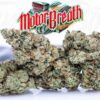 motorbreath strain