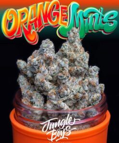 orange mints strain