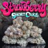 Jungle Boys Strawberry Shortcake