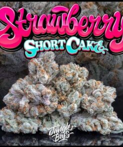 Jungle Boys Strawberry Shortcake