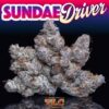 Sundae Driver strain