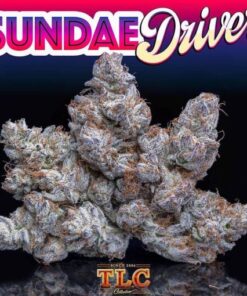 Sundae Driver strain