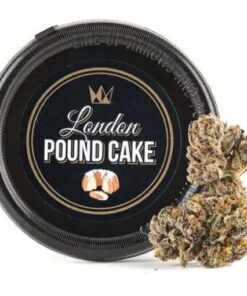 london pound cake strain, london pound cake, pound cake strain, london pound cake 75, london pound cake cookies, pound cake weed, cheetah piss strain, cookies london pound cake, london poundcake, lpc strain, london pound, london pound cake weed, london pound cake strain 75, london cake, poundcake strain, pound cake weed strain, london pound cake weed strain, london pound cake price, london pound cake 75 strain, london strain, purple pound cake strain, london pound cake leafly, london fog strain, london pund cake, purple pound cake, london pound cake strain cookies, london cake weed, lpc 75, blueberry pound cake strain, cookies london pound cake 75, london cookies strain, pound cake leafly, london og, london pound cake thc, la pound cake, london cake strain, london pound cake cart, lemon pound cake cookies weed, cookies lemon pound cake strain, london pound cake strain thc, london pound cake 75 cookies, london bridge strain info, lound pound cake, london pound cake cookies cart, london pound cake 75 price, london pound cake 75 genetics, weed pound cake, london bridge strain leafly, la pound cake strain, london lb cake, london pound cake strain review, london pound cake 50 sungrown, london pound cake plant, london pound cake one plant, london cake cookies, loundon pound cake, london pound cake allbud, london pound cake strain yield, pound of cookies weed, london pound cake indica or sativa, london pound cake strain thc level, london pound cake genetics, london pound cake yield, cookies london pound cake strain, pound london, pound cake bud, leafly lemon pound cake, cookies lemon pound cake cartridge, pound cake thc, london pound cake grow info, london pound cake wax, pound cake strain dime bag, london pound cake strain allbud, london pound cake strain info, london pound cake bud, london pound cake strain leafly, london pound cake kush, berner london pound cake, london pound cake cookies price, kush pounds