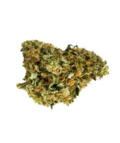 mango haze strain, mango haze, mangohaze, cbd mango haze, mango haze seeds, mango super silver haze, mango sativa, mango haze leafly, mango haze cbd, mango terpene profile, mango haze grow