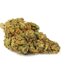 master og strain, master og, og master kush strain, og clones, snoop dogg master kush strain, master og weed, og master kush strain review, master og kush strain, master og kush thc level, master kush pictures, master kush pics, a1 kush strain, master og kush strain review, master og leafly, og master, super master kush