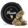 mimosa cake strain, mimosa evo, mimosa strain yield, mimosa cartridge, mimosa cart, mimosa cookies strain, strawberry mimosa strain, champagne weed strain, mtf weed strain, mimosa gelato strain, moscato weed, mimosa strain plant, mimosa 26 strain, mimosa carts, mimosa wax, champagne wedding strain, cloud 9 weed strain, blues weed strain, mimosa strain near me, mimosa 14 strain, krispy kreme weed strain, mimosa strain jungleboys, blurple weed, mimosa #14 strain, mimosa thc cartridge, mimosa shatter, champagne mimosa strain, mimosa flower near me, mimosa live resin, mimosa strain grow info, cataracts weed strain, trudose mimosa, mimosa strain terpenes, headspace weed strain, platinum mimosa, mimosa dabs, mimosa strain cartridge, ghost mimosa cartridge, orange blossom weed strain, pineapple mimosa weed, strawberry sherbet weed strain, blue jack weed, blue monster weed strain, mimosa reviews, exotic mimosa strain, verano mimosa, nuke em weed strain, mimosa terpene profile, mimosa gelato, hogsbreath weed