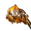 Hash Rosin