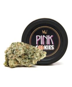 pink cookies strain, pink cookies, pink cookie, pink cookie strain, wedding cake cart, pink chocolate cookies, pink apricot strain, pink chocolate chips, wedding cake cartridge, wedding cake shatter, pink cookies recipes, pink cookies recipe, wedding cake terpene profile, pink cake strain, pink cookies vs wedding cake, pink sugar cookies strain, magical pinky weed, pink chocolate chip cookies, pink cookie recipe, wedding cake x runtz, pink cookies leafly, pink cookies strain indica or sativa, pink butter cookies, sugar pink food, gmo wedding cake strain, pink sugar cookies recipe, wedding cake punch strain, white and pink cookies, pink cookies weed, wedding fuel strain info, pink biscuit, wedding cake vape, wedding cake hemp, wedding cake oil, pink runtz cookies strain, pink chocolate chip cookies recipe, cookie pink, wedding cake pink cookies strain, wedding cake concentrate, the pink cookie, pink chocolate chip cookie recipe, pink cookies seeds, pink chocolate chip cookie recipes, wedding cake shatter thc, where can i buy pink chocolate chips, how to make pink sugar cookies, how to make pink chocolate chip cookies