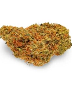 sour cheese strain, sour og cheese, sour cheese, sour og cheese strain, cheese strain leafly, sour strain leafly, sour cheese weed strain, diesel cheese strain