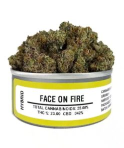 face on fire strain, face on fire, kush face strain, og face, face on fire weed, face of fire strain