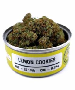 lemon cookies strain, lemon cookie strain, lemon dog cookies, key lime cookies strain, lemon dough strain, lemon cookies weed, pomelo cookies strain, cookies lemonade strain, lemonade cookies strain, citrus cookies strain, lemonade strain cookies, lemon pepper strain cookies, tanqueray strain, lemon cookies leafly, lemon cookies weed strain, lemon cookie weed, lemonade cookies weed, lemon zookies strain, lemon sugar cookies strain, lemon cookie strain leafly, lemon cookies strain allbud, purple lemon cookies strain, limoncello cookies weed, snickerdoodle strain allbud, lemon cookies strain leafly, lemon cookies strain wikileaf, lemonade tanqueray strain, lemon cookies strain review, lemon girl scout cookies strain