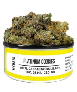 platinum cookies, platinum cookie, platinum cookie strain, platinum girl scout cookies, platinum gsc, platinum gsc strain, platnum cookies, platinum girl scout cookie seeds, platinum cookies seeds, pgsc, platinum girl scout cookies strain, purple platinum cookies, platinum girl scout cookie strain, platinum leafly, blue platinum cookies, platinum girl scout cookies seeds, platinum girl scout cookie, platinum gg strain, platinum girl scout cookies weed, platinum scout strain, platinum girl, platinum girl scout cookies grow, leafly platinum og, platinum cookies bags, platnium cookies, platinum cookies yield, outdoor platinum cookies, platinum cookies flowering time, platinum blue cookies, platinum weed strains, girl scout cookies platinum, platnium cookie, og cookies weed strain, platinum girl scout, girl scout cookie clones, leafly platinum cookies, girl scout cookie leafly, platinum blue cookies strain, leafly platinum, platinum gsc seeds, premium girl scout cookies, sour platinum cookies, platinum cookie monster strain, mega cookies strain, platinum girl scout cookies price, forum cookies strain allbud, platinum cookies price, platinum scout, theplatinumgirl, platinum cookies review