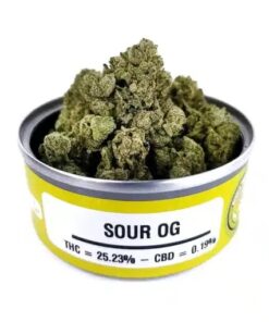 sour og strain, sour og, 818 headband strain, og sour kush, 818 headband, og sour diesel, sour og leafly, sour og kush, og sour strain, sour lemon og, sour og weed strain, sour og weed, sour og strain allbud, og sour, sour kush og, sour kush leafly, 805 sour hybrid, super sour og strain, purple sour og, is sour og indica or sativa, sour gas strain, sour oh, sour legend strain, sourdough weed, sour og seeds, super sour og kush, sour og thc level, sour kush review, pictures of sour og, sour lemon og strain, double sour og, leafly sour og, sour og kush price, sour fruit strain, sour og allbud, sd og strain, sour og wax, super sour og strain review, sour kush strain allbud, og kush sour diesel, sour og strain review, sour og kush strain, sour og thc, og sour diesel strain, sour banana og, purple sour diesel thc content, sour og kush seeds, sour og review