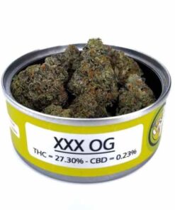 triple og strain, xxx og, xxx og strain, xxx strain, godfather og weed, weed xxx, grandfather og, triple x og, triple x strain, xxx weed, godfather kush, the godfather og, xxx og kush, xxx weed strain, xxxog, godfather carts, xo weed strain, kush xxx, godfather og weed strain, triple og weed strain, og x strain, the godfather strain, xxx kush, triple og strain allbud, godfather og leafly, triple og weed, godfather cookies, triple og leafly, triple x weed strain, commerce city strain, triple x weed, marijuana xxx, godfather og kush strain, triple x og kush, triple og flower, xxx og leafly, og xxx, xxx og seeds, triple og kush