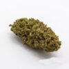 thc bomb strain, thc bomb, weed bombs, bomb seeds, bombs away strain, trench buddy strain, purple bomb strain, thc bomb grow, thc bomb seeds, cannabis strain reviews, weed bomb, bomb weed, thc bomb review, bomb strain, thc bomb genetics, bomb og strain, marijuana strain reviews, bomb seeds review, bomb seeds reviews, bombseeds, diesel bomb strain, thc bomb weed, marijuana strain review, pine bomb strain, bomb og, thc bomb outdoor grow, thc bomb lineage, thc bomb leafly, bomb buds 2, thc bomb auto review, bomb seeds thc bomb, bomb #1 strain, thc bomb smoke report, thc bomb grow guide, bomb weed names