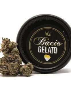 bacio gelato, bacio gelato strain, bacio strain, sherbinskis carts, sherbinski strain, bacio ice cream, bacio gelato 41, sherbinski gelato, sherbinski bacio gelato, bacio flavor, sherbinskis bacio gelato, gelato 49, baccio gelato, bacio gelato sherbinski, sherbinski acai berry gelato, gelato weed jars, bacio gelato flavor, bacio gelato ice cream, blue bacio weed strain, san bacio gelato, bacio gelato sherbinskis, white bacio, gelato bacio, what is bacio gelato, tko bacio cart review, bacio gelato strain sherbinski, gelato 41 bacio, bacio carts, bacio gelato price, gelato wikileaf, bacio gelato weed strain, baci ice cream, sherbinskis review, sherbinski bacio gelato strain, basquiat strain