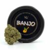 banjo strain, banjo weed strain, banjo sativa, banjo weed, cure pen banjo, west coast cure banjo, coastal sun banjo, banjo cart, curepen banjo, west coast cure banjo strain, banjo west coast cure, banjo curepen, banjo sativa strain, banjo kush, banjo cartridge