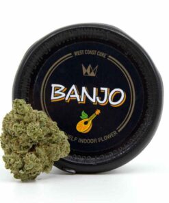 banjo strain, banjo weed strain, banjo sativa, banjo weed, cure pen banjo, west coast cure banjo, coastal sun banjo, banjo cart, curepen banjo, west coast cure banjo strain, banjo west coast cure, banjo curepen, banjo sativa strain, banjo kush, banjo cartridge