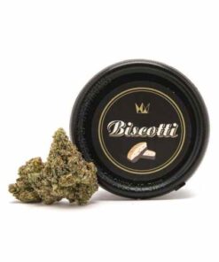 biscotti strain, biscotti weed strain, biscotti cookies strain, blue biscotti strain, biscotti strain leafly, biscotti gelato strain, biscotti strain effects, lemon biscotti strain, purple biscotti strain, biscotti strain review, biscotti strain indica or sativa, white biscotti strain, sherbet biscotti strain, gelato biscotti strain, blue biscotti biscotti strain, biscotti strain thc level, c4 weed strain, biscotti og strain, panna cotta strain, biscoti strain, biscotti cake strain, weed strain biscotti, biscotti cookie biscotti strain, biscoff strain, biscotti strain info, leafly biscotti strain, cookies biscotti strain, biscotti pippen strain, connected biscotti strain, biscotti strain genetics, biscotti weed strain thc level, biscotti 2 strain, scotti biscotti strain, biscotti cookies weed strain, biscotti indoor strain, biscotti strain logo, biscotti strain thc percentage, biscotti strain near me, biscotti weed strain review, durban biscotti strain, biscotti strain cookies, biscotti mint strain