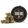 gas weed, gas bud, gas strain, gas og strain, gas og, weed gas, gas house strain, gas house og strain, gas weed strain, gas cookies strain, og gas, gas house og, gas station strain, gas face og strain, og gas strain, gas og strain west coast cure, gas tank strain, sour gas strain, is gas weed, gas marijuana, gas can strain, gas hitz california, gas strain weed, gas seeds, good gas weed, gas weed strains, gas og west coast cure, gas buds review, gas kush, gas pump strain, what is gas weed, gak gas strain, gas candy strain, gas n fruit strain, gas marijuana strain, marijuana gas, gas cake weed, weed called gas