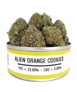orange cookies strain, alien orange cookies, orange alien, alien orange cookies strain, alien orange, alien orange strain
