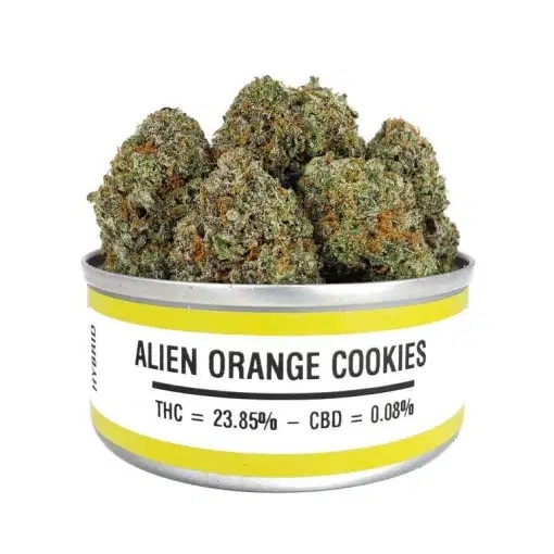 orange cookies strain, alien orange cookies, orange alien, alien orange cookies strain, alien orange, alien orange strain