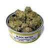 blackwater og, blackwater strain, blackwater og strain, cali connection seeds, black water og, black water strain, big chief blackwater og, blackwater weed, blackwater og big chief, blackwater weed strain, big chief carts strains, blackwater kush, big chief carts price in california, big chief dab pen, big chief extracts blackwater og, big chief sativa flavors, chief og, blackwater og seeds, blackwater og big chief cart, blackwater leafly, dark water strain, blackwater og cartridge, black water kush, blackwater og big chief strain, blackwater og kush, blackwater marijuana, blackwater strain yield, blackwater seeds, black water weed