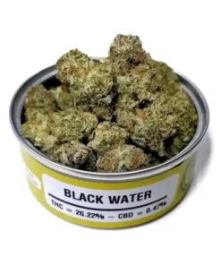 blackwater og, blackwater strain, blackwater og strain, cali connection seeds, black water og, black water strain, big chief blackwater og, blackwater weed, blackwater og big chief, blackwater weed strain, big chief carts strains, blackwater kush, big chief carts price in california, big chief dab pen, big chief extracts blackwater og, big chief sativa flavors, chief og, blackwater og seeds, blackwater og big chief cart, blackwater leafly, dark water strain, blackwater og cartridge, black water kush, blackwater og big chief strain, blackwater og kush, blackwater marijuana, blackwater strain yield, blackwater seeds, black water weed