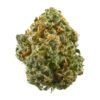 Buy blue dream strain Online, blue weed strains, blue dream cartridge, blue power strain, blueberry dream strain, blue glue strain, blue nerds strain, blue dream cbd, blue knight strain, blue dream haze, blue dream cart, blue walker strain, blue magic strain, blue dream haze strain, blue northern lights strain, blue strain, blue dream strain allbud, blue monster strain, blue dream terpenes, blue dream price, chicago blue dream strain, blue bud, platinum blue dream, bay dream strain, blue dream autoflower, blue dream crystal, blue dream vape, blue dream strain near me, blue amnesia strain, blue weed leaf, sour blue strain, sour diesel blue dream, blue dream edibles, chicago blue dream, blue ivy strain, kush dream, blue lagoon strain, blue platinum strain, blue dream cbd oil, blue dream allbud, blue dream wax, blue cannabis, blue dream shatter, blue dream logo, dream x blueberry, blue dream carts, og dream strain, blue dream terpene profile, purple blue dream, blue milk strain, kush dream strain,blue skywalker strain, dream og, blue indica, blue dream hybrid cartridge, blue dream crumble, thc cotton candy, blue dream thc cartridge, gushers thc level, sour diesel blue dream og kush, new years dream strain, blue dream clones for sale, super blue strain, blue dream for anxiety, blue dream strain cartridge, is blue dream good for anxiety, platinum blue dream strain review, beyond blue dream strain, blue dream oil, bluezzz strain, leafly com blue dream, blue dream cookies strain, peanut butter breath strain thc percentage, blue dream sour diesel, royal blue strain, blue strains, blue dream cbd effects, blue dream xtrm, blue dream pics, blue dream dispensary, sour og thc level, blue dream live resin, blue marijuana strain, blue dream x pck, blue dream strain terpenes, blue dream cartridge near me, blue dream oil cartridge, blue dream tincture, blue shandy strain, double blue dream, strain map, og strain allbud, hazy dream strain, bcp strain, blue dream hemp, snoop's dream strain, blue dream dab cart, blue dream disposable pen, fruit punch thc, blue island dream strain, blue marijuana plant, blue tommy strain, cheap weed strains, blue dream leaves, dark blue dream, sour blue dream, dream pot, blue haze vs blue dream, blueberry dream weed, dark blue dream strain, blue dream strain las vegas, hush thc sizzurp review, blue dream glo, dreamland strain, blue dream heavy hitters, blue dream price per ounce, blue trip strain, blue dream pictures, allbud blue dream, blue dream for migraines, dank blue dream, dream kush, grape jelly strain thc level, blue dream blunt, blue dream diesel, blue dream cbd strain, lemon kush thc content, blueberry blue dream, dream haze, is blue dream good for sleep, blue dream prices, sceptre strain, og kush vs blue dream, blue dream auto review, blue dream x og kush, blue dream hash, black widow strain thc level, blue dream dabs, sherblato thc, lemon blue dream, tangerine haze thc level, mob boss strain thc level, heavy hitters thc percentage, blue dream cost, bud blue, blue dream hemp oil, hso blue dream review, cbd blue dream, weed strains with blue in the name, ounce of blue dream, beyond blue dream strain review