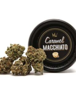 Buy caramel macchiato, buy caramel macchiato Strain, Buy caramel macchiato Strain by West Coast Cure, Buy Caramel Macchiato Strain tin, Buy caramel macchiato Strain West Coast Cure, Buy caramel macchiato West Coast Cure, buy West Coast Cure caramel macchiato, buy west coast cure caramel macchiato online, buy west coast cure online, Buy West Coast Cure Tins, caramel macchiato for Sale, Caramel Macchiato Strain for Sale, caramel macchiato West Coast Cure for Sale, Order Caramel Macchiato, Order caramel macchiato Strain, Order caramel macchiato West Coast Cure, order west coast cure caramel macchiato, PURCHASE caramel macchiato WEST COAST CURE, Shop caramel macchiato West Coast Cure, west coast cure, west coast cure caramel macchiato, west coast cure caramel macchiato for sale, west coast cure for sale, Where to Buy Caramel Macchiato, Where to Buy caramel macchiato Strain, Where to Buy caramel macchiato West Coast Cure