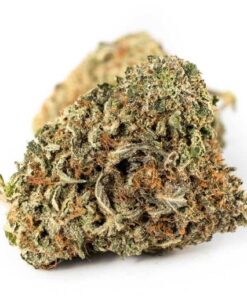 Buy Death Rockstar Strain Online