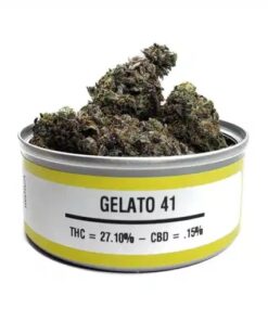 gelato 41, gelato 41 strain, gelato 41 weed, gelato 42, gelato 41 weed strain, cookie gelato 41, gelato 41 allbud, bacio gelato 41, gelato #41 vs 33, gelato 41 thc level, 41 flavors strain, gelato 41 yield, gelato #41, gelato 41 flowering time, what strain is gelato 41, pink gelato strain allbud, connected gelato 41, gelato 41 leafly, g41 strain, gelato 41 strain review, gelato strain 41, gelato 40, gelato 44 allbud, 41 gelato, gelato 41 connected, cali gelato 41, gelatto 41, gelato 41 bacio, gelato 41 thc, gelato wikileaf, gelato 41 plant, g41 weed, leafly gelato 41, geloto 41, g41 weed strain, gelato 41 review, gellato 41, gelato 41 crosses, blue gelato 41 strain leafly, gelato #41 strain, gelato 41 cookies, galato 41