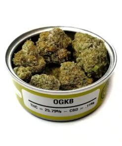 ogkb strain, og kush breath, ogkb, dosey doe strain, ogkb 2.0, og kush breath strain, ogkb 2.0 strain, ogkb 2.1, dosi mint strain, dosey doe weed strain, dosi breath strain, ogkb stardawg, dosido 22 strain, leafly dosido, dosidos 22, dosido leafly, dosi breath, orange kush breath, ogkb seeds, do si dos cart, do si do cartridge, dose doe strain, og kb, ogb strain, do si do cart, kb strain, kb weed strain, natural selections dosidos, ookb strain, dosi cane strain, ogkb stardawg strain, dositos, dosi-cane strain, ogkushbreath, what is ogkb strain, grape dosidos, og kb strain, ogkb seedfinder, ogkb leafly, ogkb strain review, dosi runtz, dosidos leafly, dosydos, kb weed, ojsdkb strain, ogkb cookies, alien labs dosidos