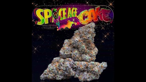 Space age cake strain