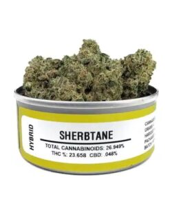 sherbtane strain